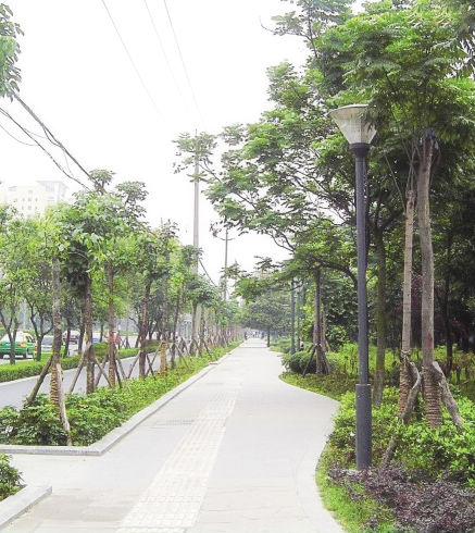 20120711162958_66274.jpg