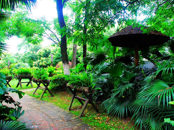20120710181501_95688.jpg