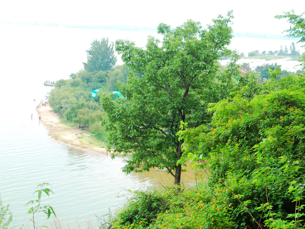 20120710181009_43390.jpg