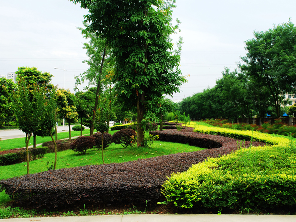 20120710180659_10849.jpg
