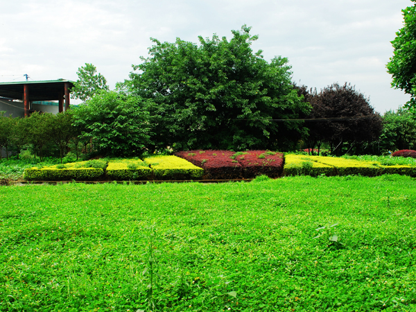 20120710180717_54202.jpg