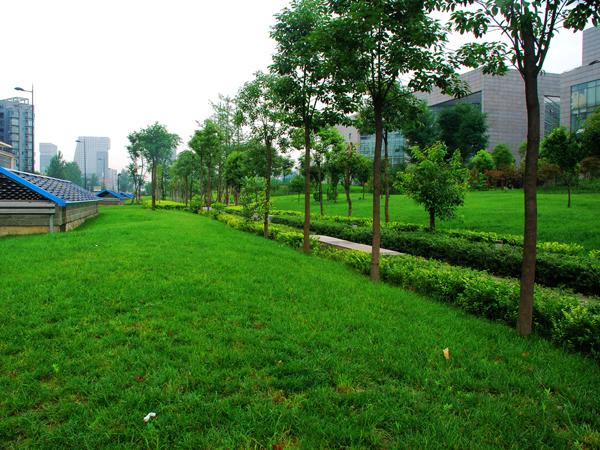 20120710180427_22416.jpg
