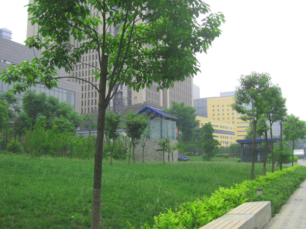 20120511022119_11323.jpg