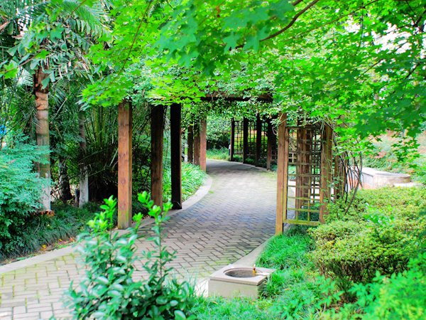 20120711091731_68496.jpg
