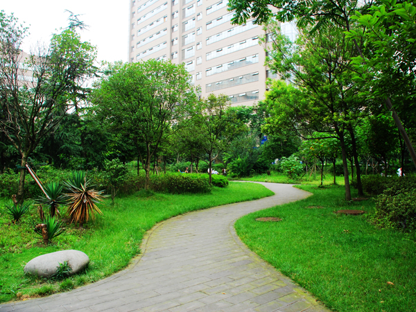 20120710175530_40146.jpg