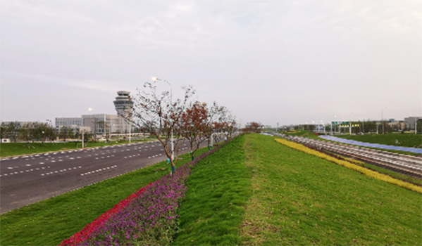 成都天府國(guó)際機(jī)場(chǎng)景觀綠化工程-(3).jpg