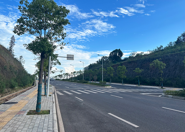 駿興路A段-(2).jpg
